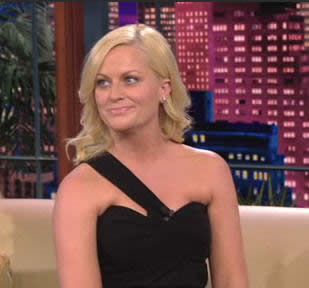 Amy Poehler